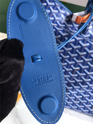 Go*ard saint l0*is gm bag in Go*ardine canvas & chevroches calfskin