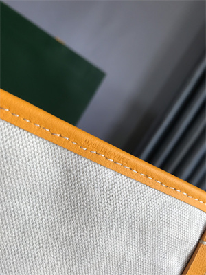 Go*ard saint l0*is pm bag in Go*ardine canvas & chevroches calfskin