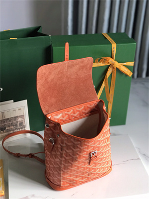 Go*ard alpin mini backpack Go*ardine canvas & chevroches calfskin