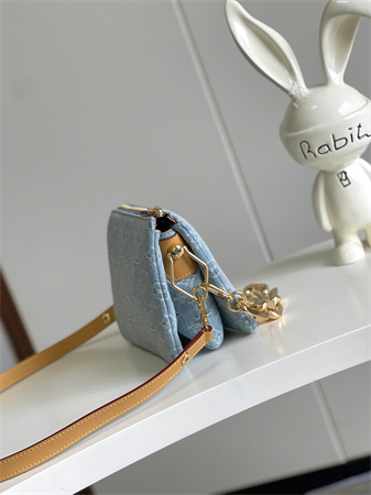 L.V Coussin BB Bag Monogram Sky Blue Denim M11401