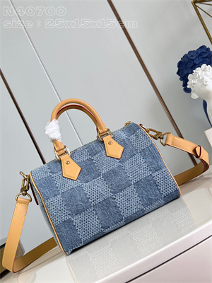 L.V Speedy Bandoulière 25 Damier Denim 3D cotton canvas Blue N40700