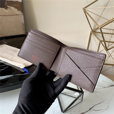 LV Multiple Wallet Damier Ebene Canvas N60895