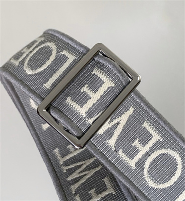 L0ew* anagram strap in jacquard and calfskin