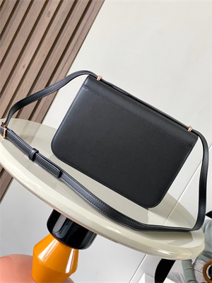 L0ew* goya bag in silk calfskin