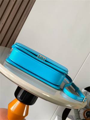 L0ew* goya bag in silk calfskin