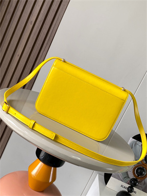 L0ew* goya bag in silk calfskin