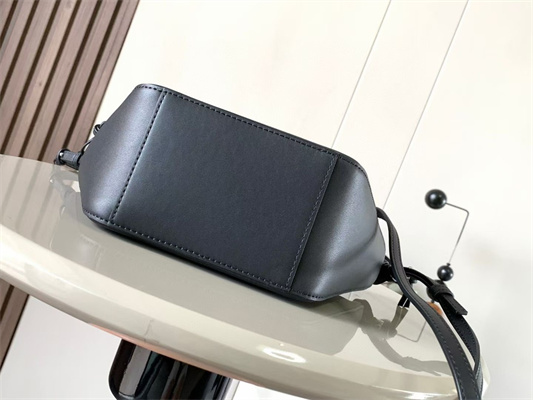 L0ew* mini hammock hobo bag in classic calfskin