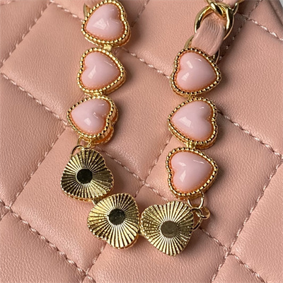 Ch*el hobo bag lambskin gold tone metal pink as3786