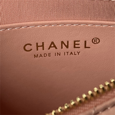 Ch*el hobo bag lambskin gold tone metal pink as3786