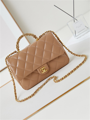 Cha.nel Mini Flap Bag with Top Handle Shiny Lambskin & Gold-Tone Metal Brown AS5043