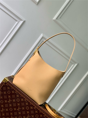 L.V Low Key Hobo PM Bag Smooth Calfskin  M25353