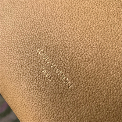 L.V Low Key Hobo PM Bag Smooth Calfskin  M25353