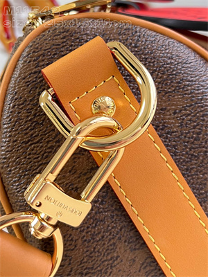 L.V Keepall Bandoulière 25 Monogram Dust coated canvas M11542