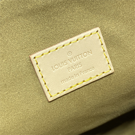 L.V Dauphine Soft GM Monogram Canvas M47149