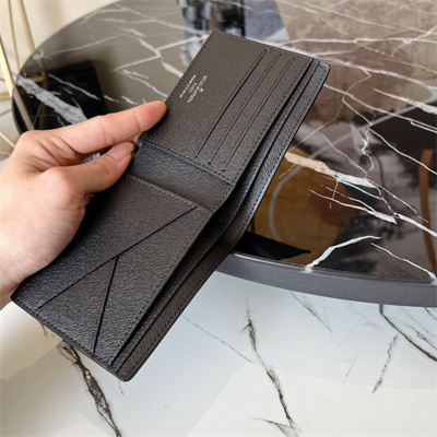 L.V Multiple Wallet Taiga cowhide leather Black M30295