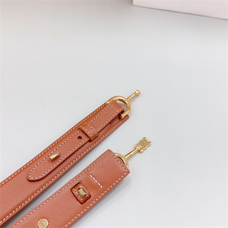 Ce**e belt 30mm in calfskin gold tone buckle brown