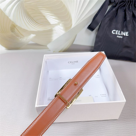 Ce**e medium reversible framed triomphe belt 25mm calfskin gold tone buckle black/brown