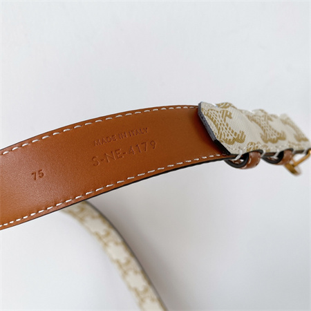 Ce**e triomphe belt 25mm in triomphe canvas gold tone buckle white/brown