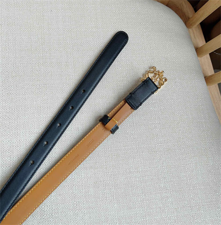 L0ew* belt in smooth calfskin 20mm gold hardware black/brown