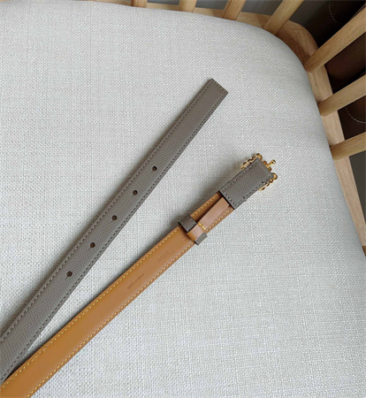 L0ew* belt in grained calfskin 20mm gold hardware grey/brown