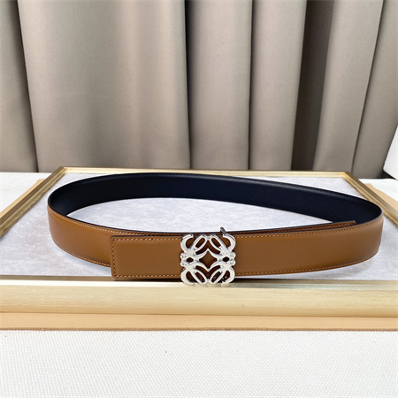 L0ew* belt in calfskin 30mm silver hardware brown/black