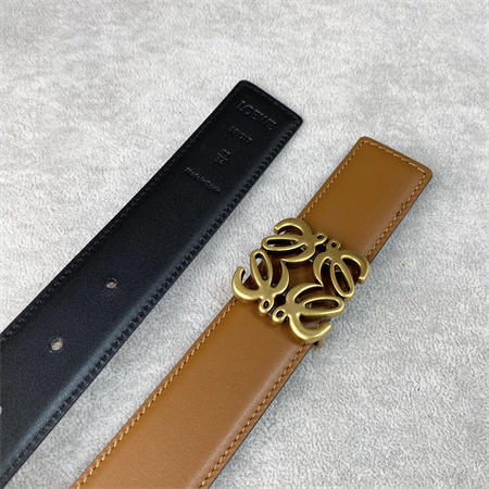 L0ew* belt in calfskin 30mm gold hardware brown/black
