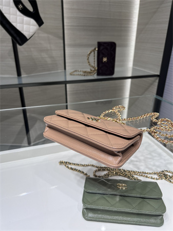 Cha.nel Flap Phone Holder with Chain Shiny Lambskin & Gold-Tone Metal Nude Pink AP4167