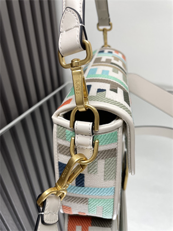 Fen.di Baguette Multicolor FF Canvas Bag