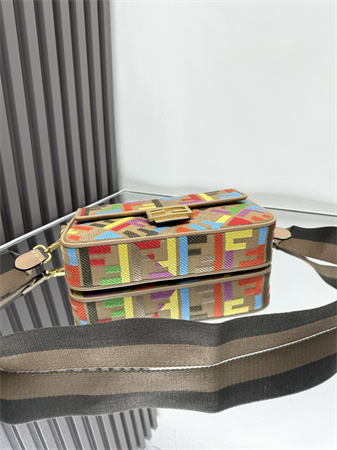 Fen.di Baguette Multicolor FF Canvas Bag