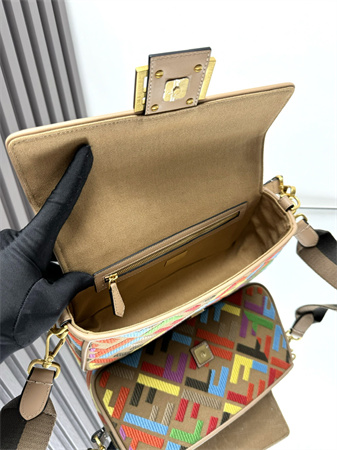 Fen.di Baguette Multicolor FF Canvas Bag