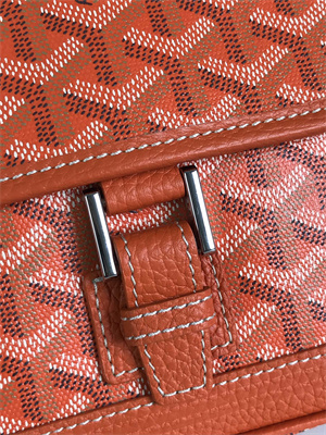 Go*ard grand bleu pm shoulder bag Go*ardine canvas &  calfskin