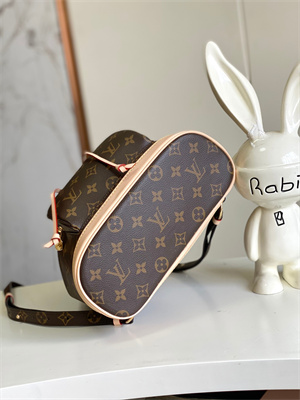LV Montsouris PM Backpack Monogram Canvas M11198