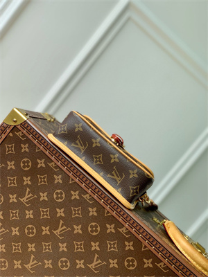 LV Nano Diane Monogram Canvas M83298
