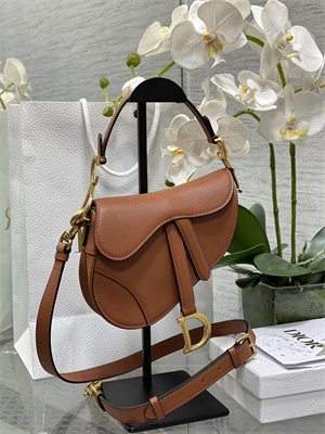 CD Mini Saddle Bag Grained Calfskin Caramel Color
