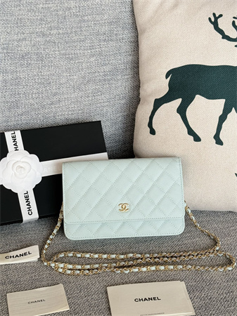 Ch*el wallet on chain grained calfskin gold tone metal pale blue ap0250