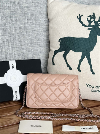 Ch*el wallet on chain lambskin silver tone metal pink ap0250