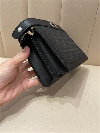 Fen.di Peekaboo ISeeU XCross  FF Eclissi fabric bag Brown