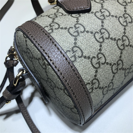 Gu.cci Ophidia small top handle bag 602577