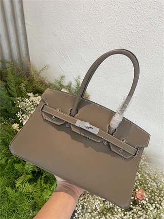 Bir.kin Shoulder Bag 29 Swift Leather Gold/Silver Tone Metal Etoupe Color HS