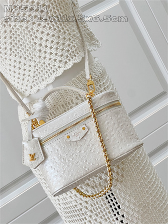 L.V Vanity Chain Pouch Ostrich leather White N85820
