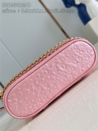 L.V Vanity Chain Pouch Ostrich leather Pink N85820