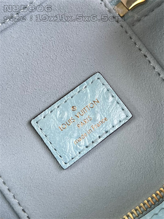 L.V Vanity Chain Pouch Ostrich Leather Blue N85820