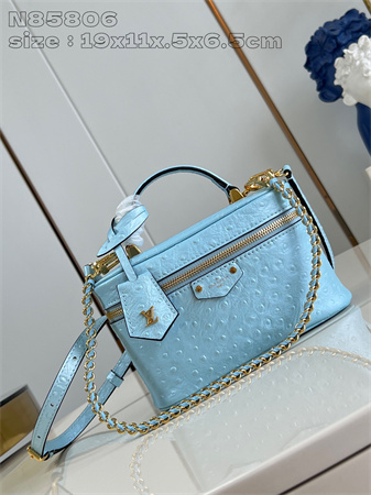 L.V Vanity Chain Pouch Ostrich Leather Blue N85820