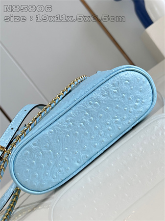 L.V Vanity Chain Pouch Ostrich Leather Blue N85820
