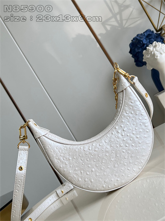 L.V Loop Handbag Ostrich leather White N85900