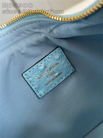 L.V Loop Handbag Ostrich leather Blue N85900