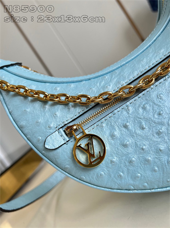 L.V Loop Handbag Ostrich leather Blue N85900