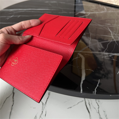 L.V  Passport Cover Vivienne Holidays Monogram Canvas M12219