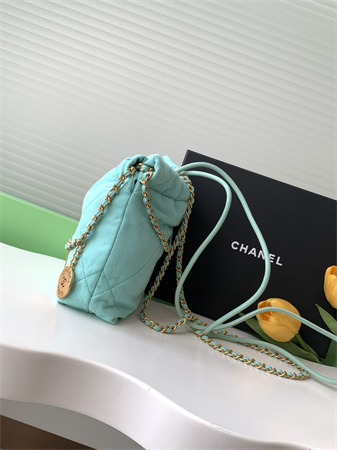 Ch*el 22 mini handbag canvas and gold tone metal green as3980