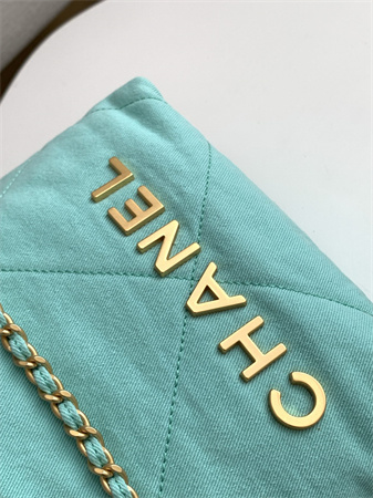 Ch*el 22 mini handbag canvas and gold tone metal green as3980